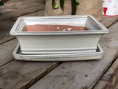 Γλάστρα Bonsai με Πιάτο 15cm Λευκό Κρεμ 